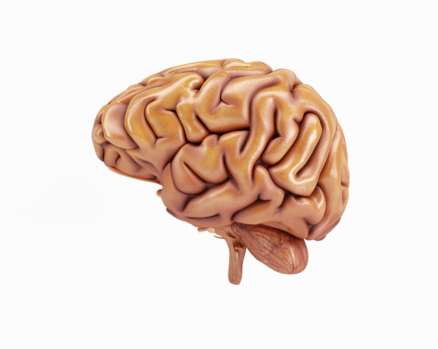 Unlock Your Brainpower: 5 Science-Backed Methods to Supercharge Your Memory [Memory Improvement Techniques]